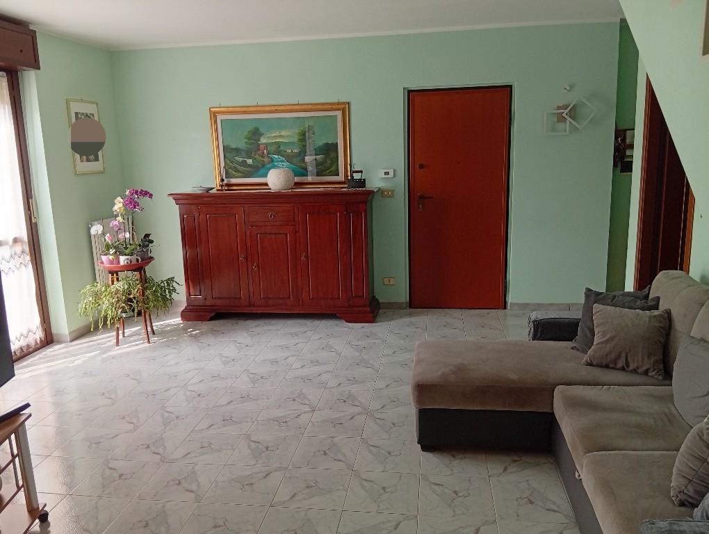 immagine annuncio 1 di 7