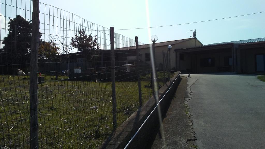 immagine annuncio 5 di 7