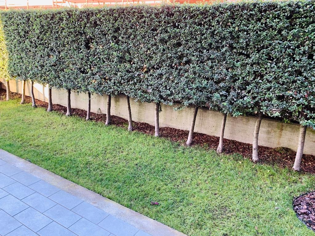 immagine annuncio 1 di 7