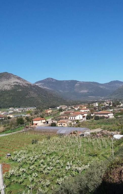 immagine annuncio 6 di 7