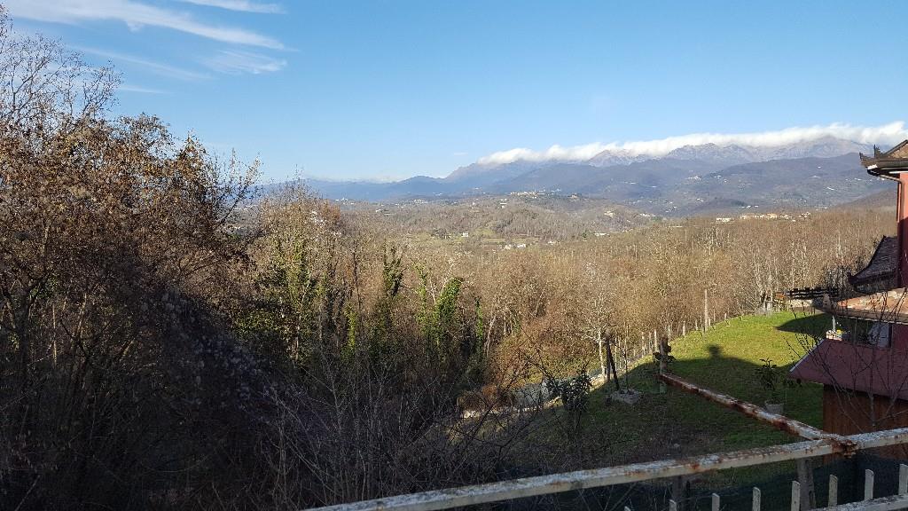 immagine annuncio 5 di 7