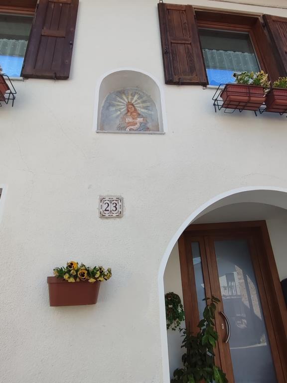 immagine annuncio 6 di 7