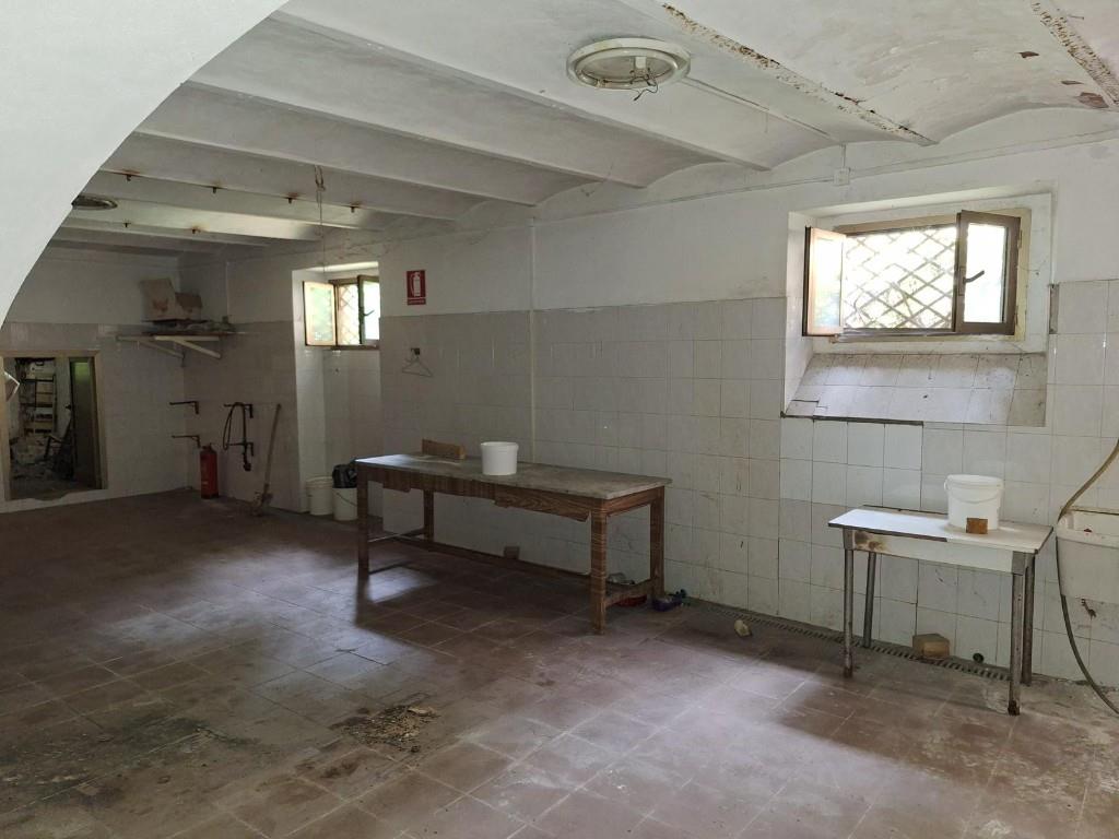 immagine annuncio 5 di 7