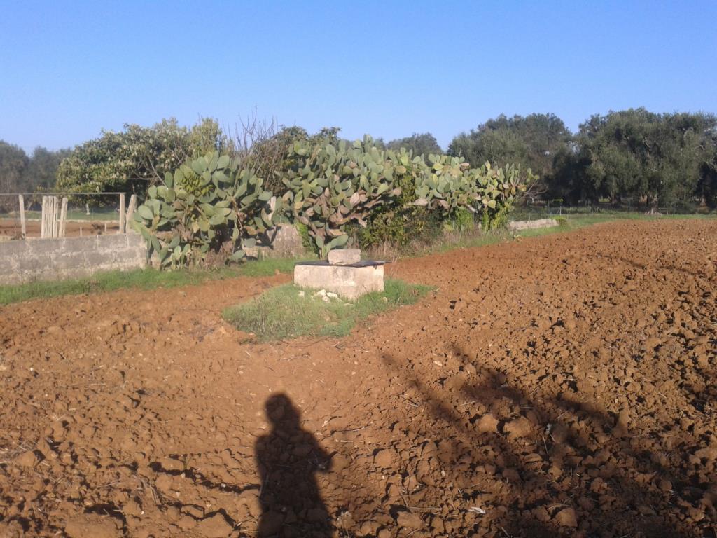 immagine annuncio 1 di 4