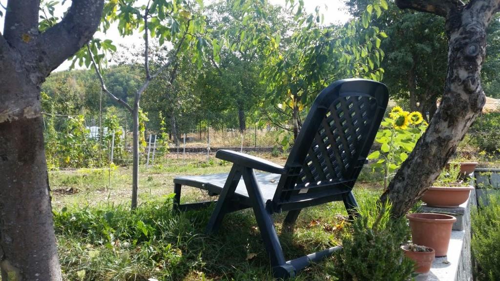 immagine annuncio 1 di 7