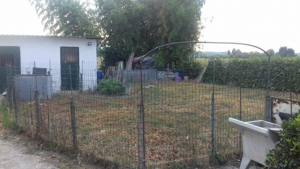 immagine annuncio 5 di 7