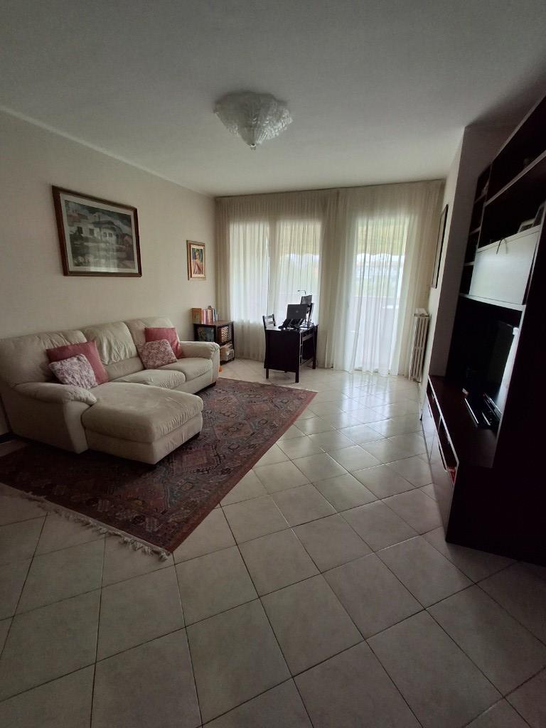 immagine annuncio 4 di 7