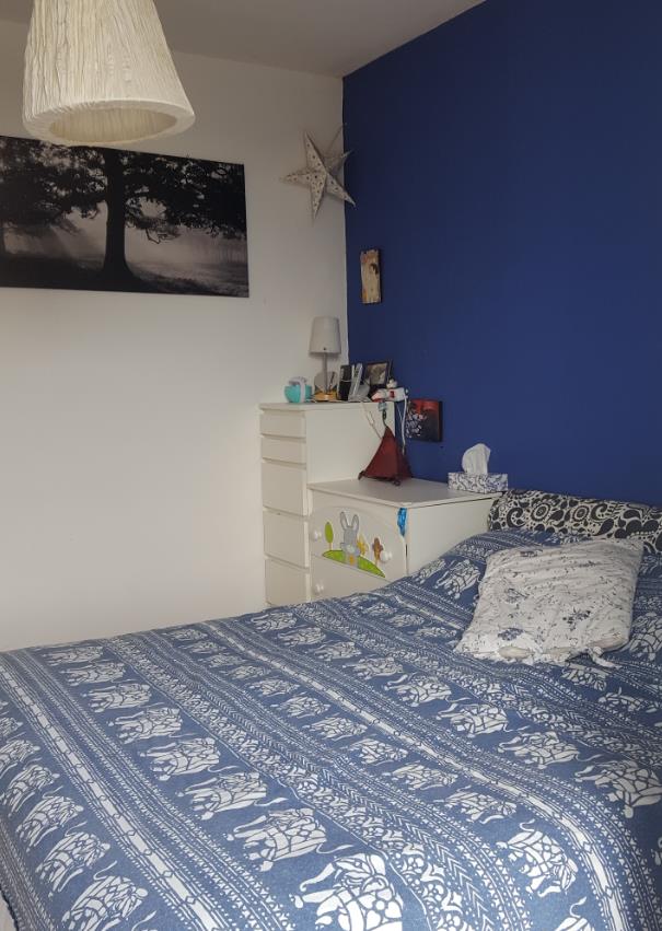 immagine annuncio 5 di 7