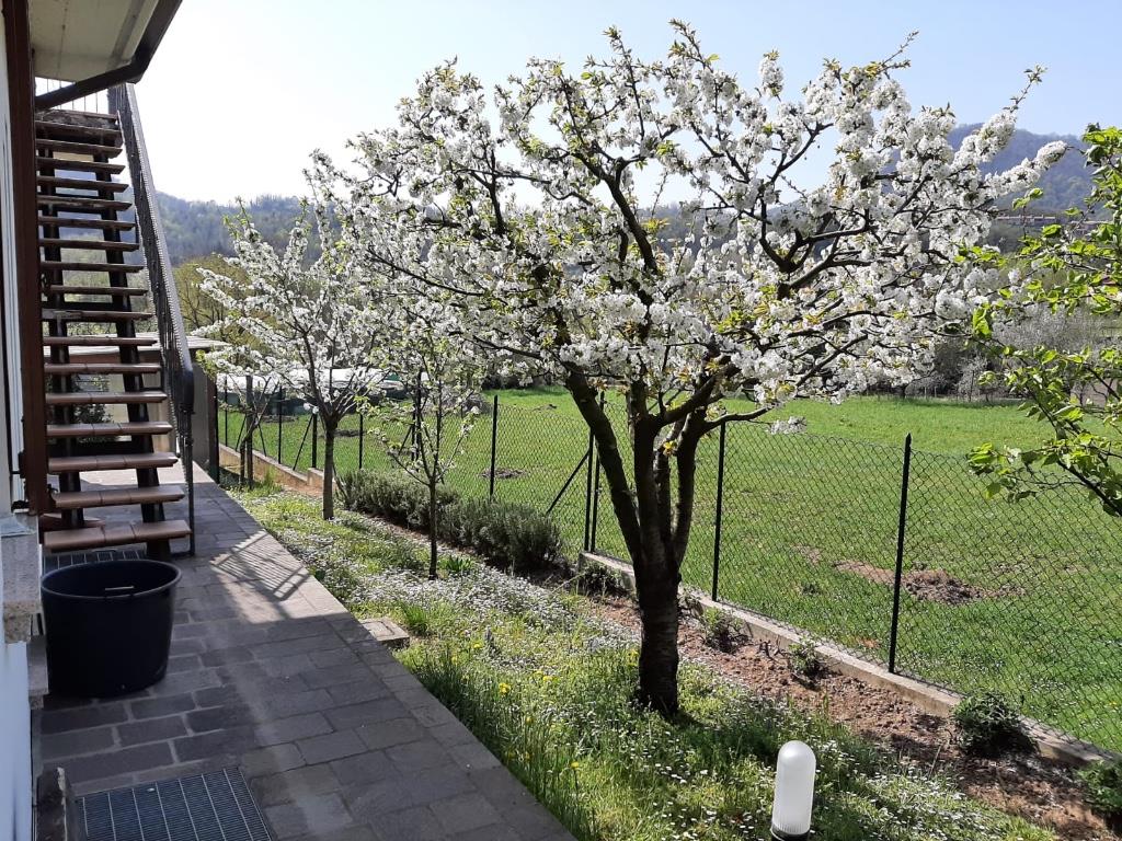 immagine annuncio 4 di 7