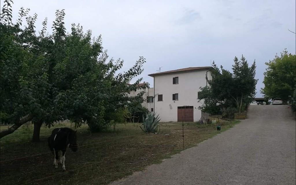 immagine annuncio 6 di 7