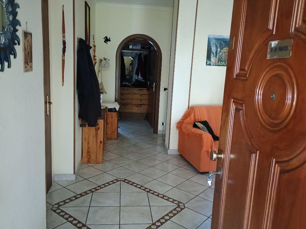 immagine annuncio 2 di 6