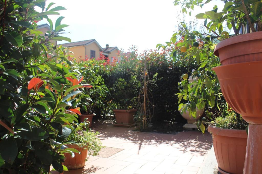 immagine annuncio 6 di 7