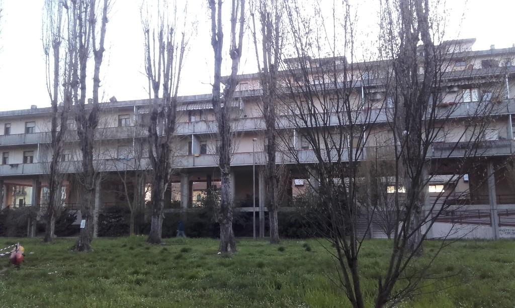 immagine annuncio 5 di 7