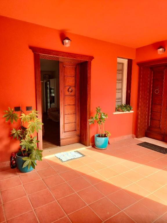 immagine annuncio 5 di 7