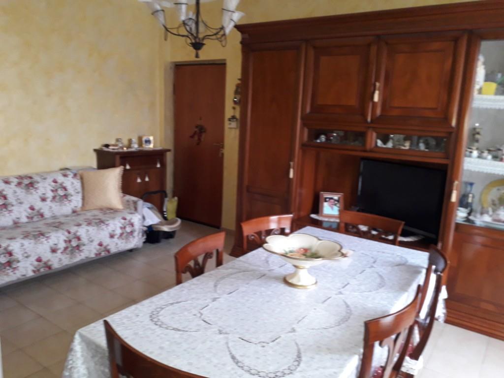 immagine annuncio 1 di 6