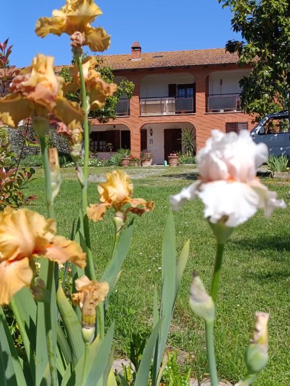 immagine annuncio 2 di 4