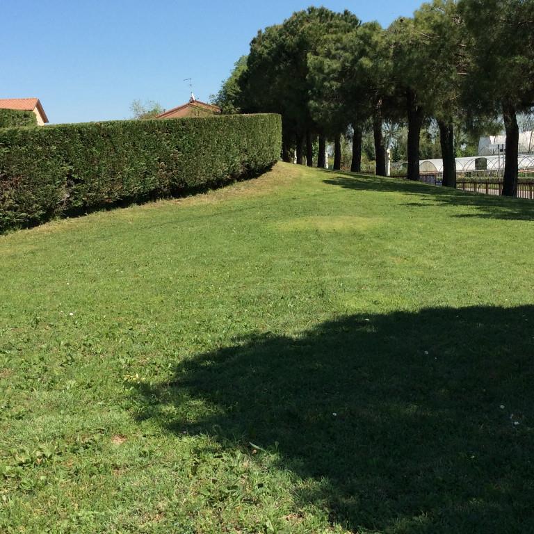 immagine annuncio 5 di 7