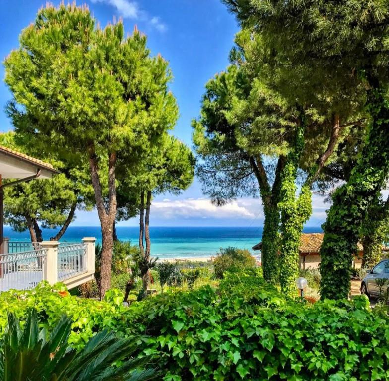 immagine annuncio 6 di 7