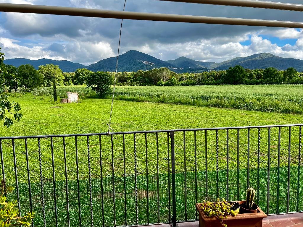 immagine annuncio 5 di 7