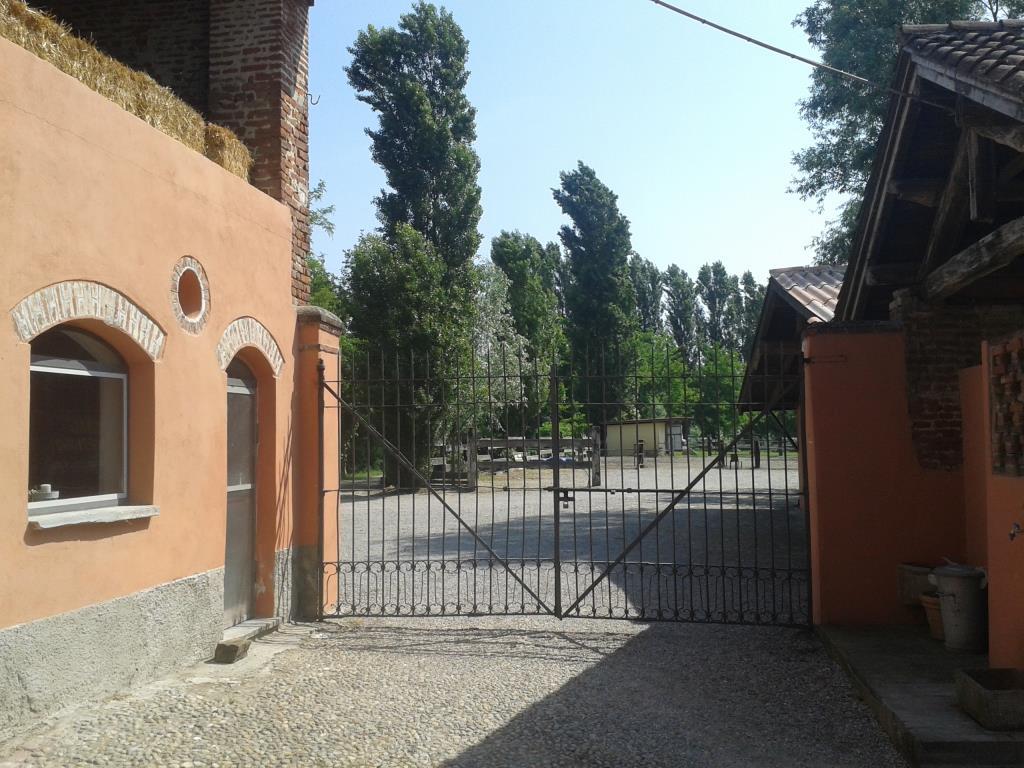 immagine annuncio 5 di 7