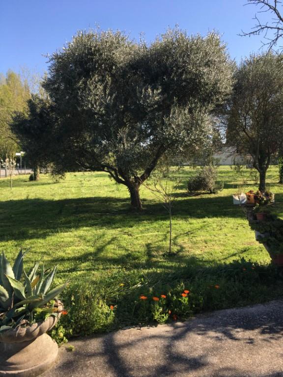 immagine annuncio 2 di 7