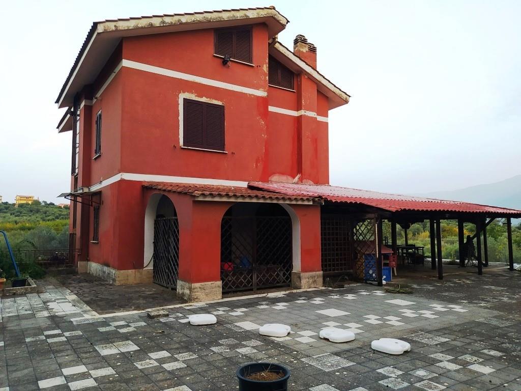 immagine annuncio 1 di 7
