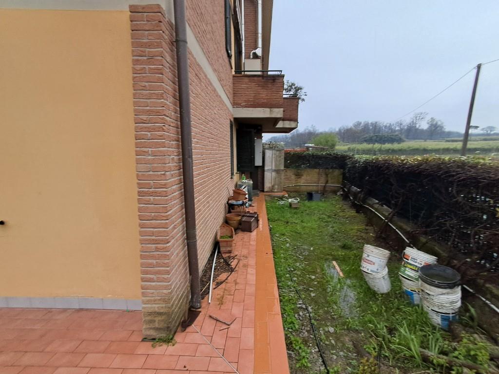immagine annuncio 4 di 7