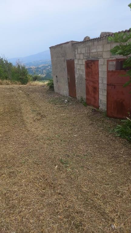 immagine annuncio 4 di 7