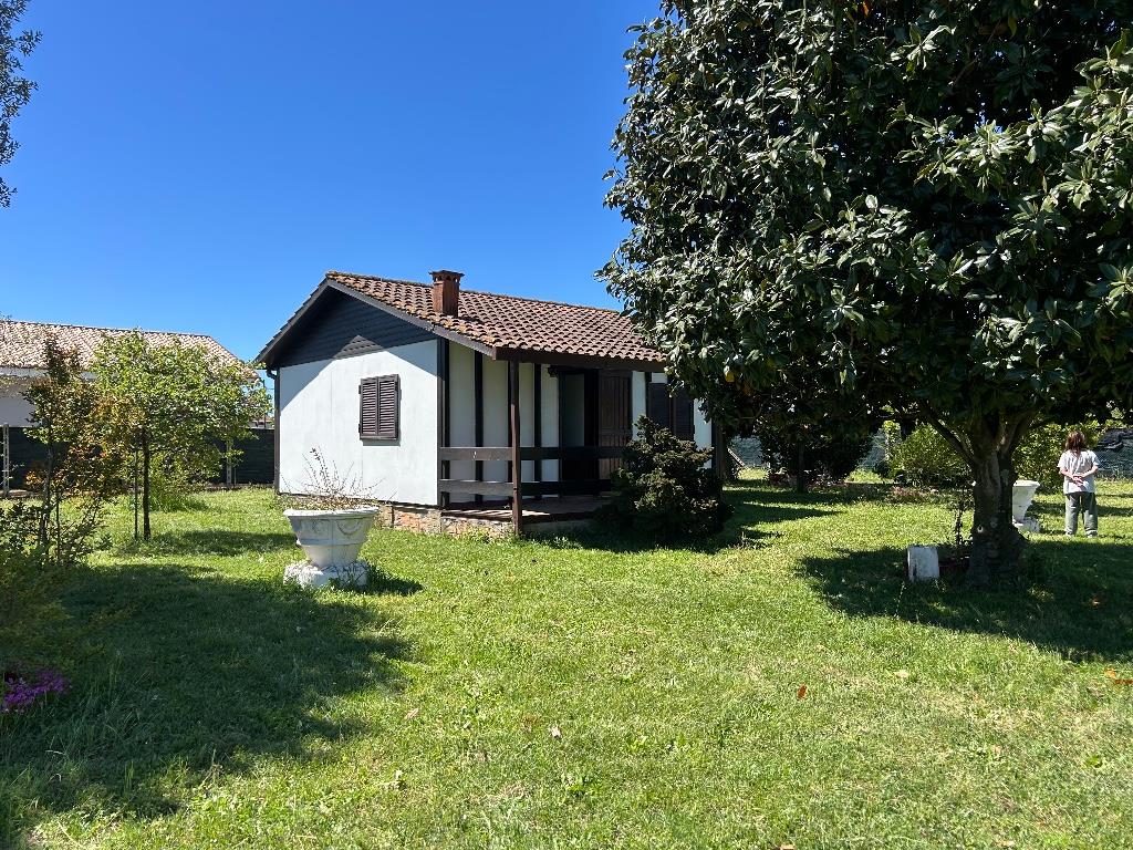 immagine annuncio 1 di 7