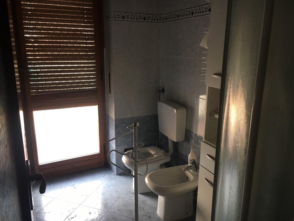 immagine annuncio 3 di 7