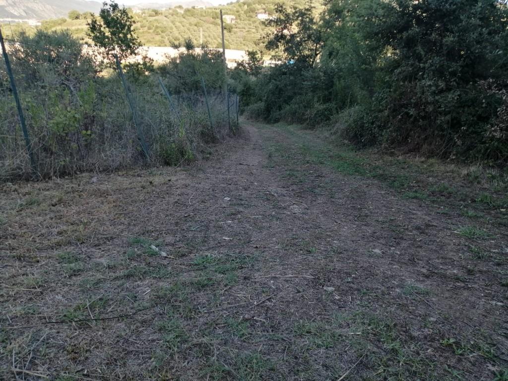 immagine annuncio 3 di 7