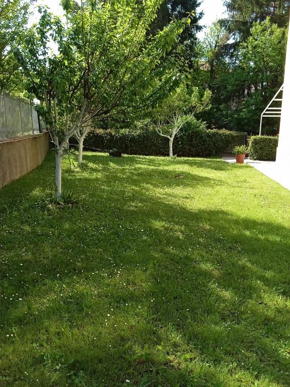 immagine annuncio 1 di 7