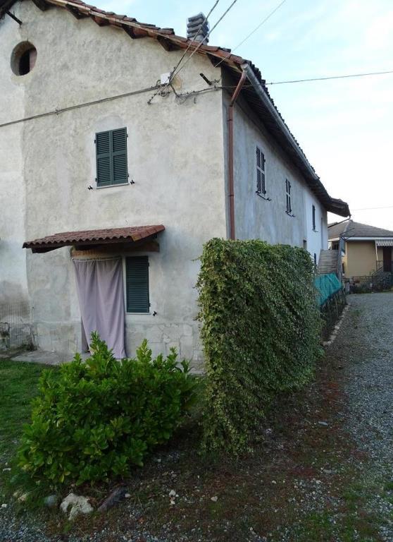 immagine annuncio 5 di 7