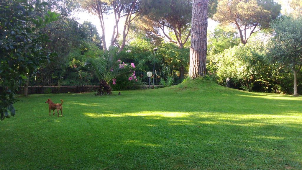 immagine annuncio 5 di 7