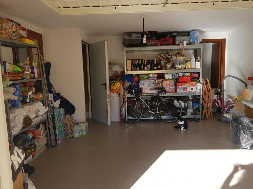 immagine annuncio 6 di 7