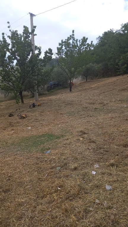 immagine annuncio 6 di 7