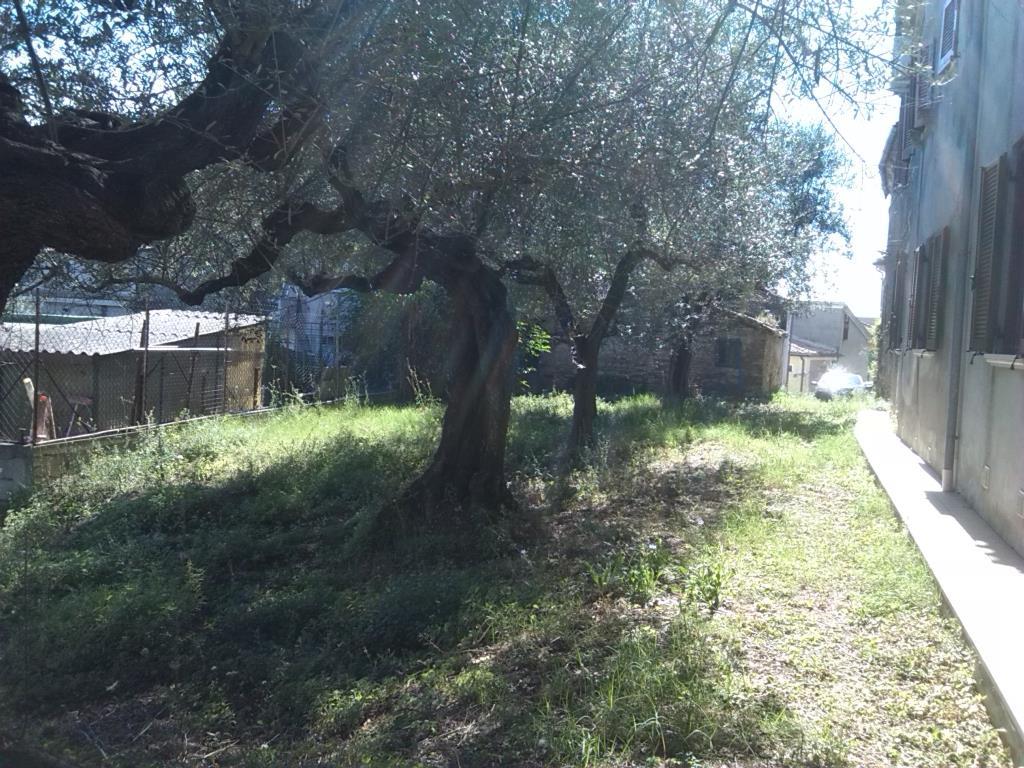 immagine annuncio 5 di 7
