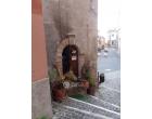 Foto - Appartamento in Vendita a Paliano (Frosinone)