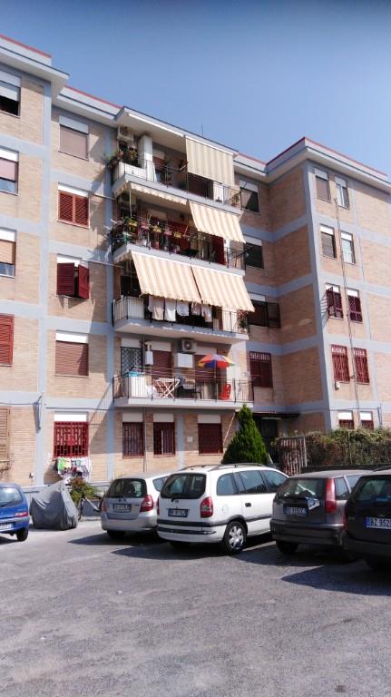 immagine annuncio 4 di 7