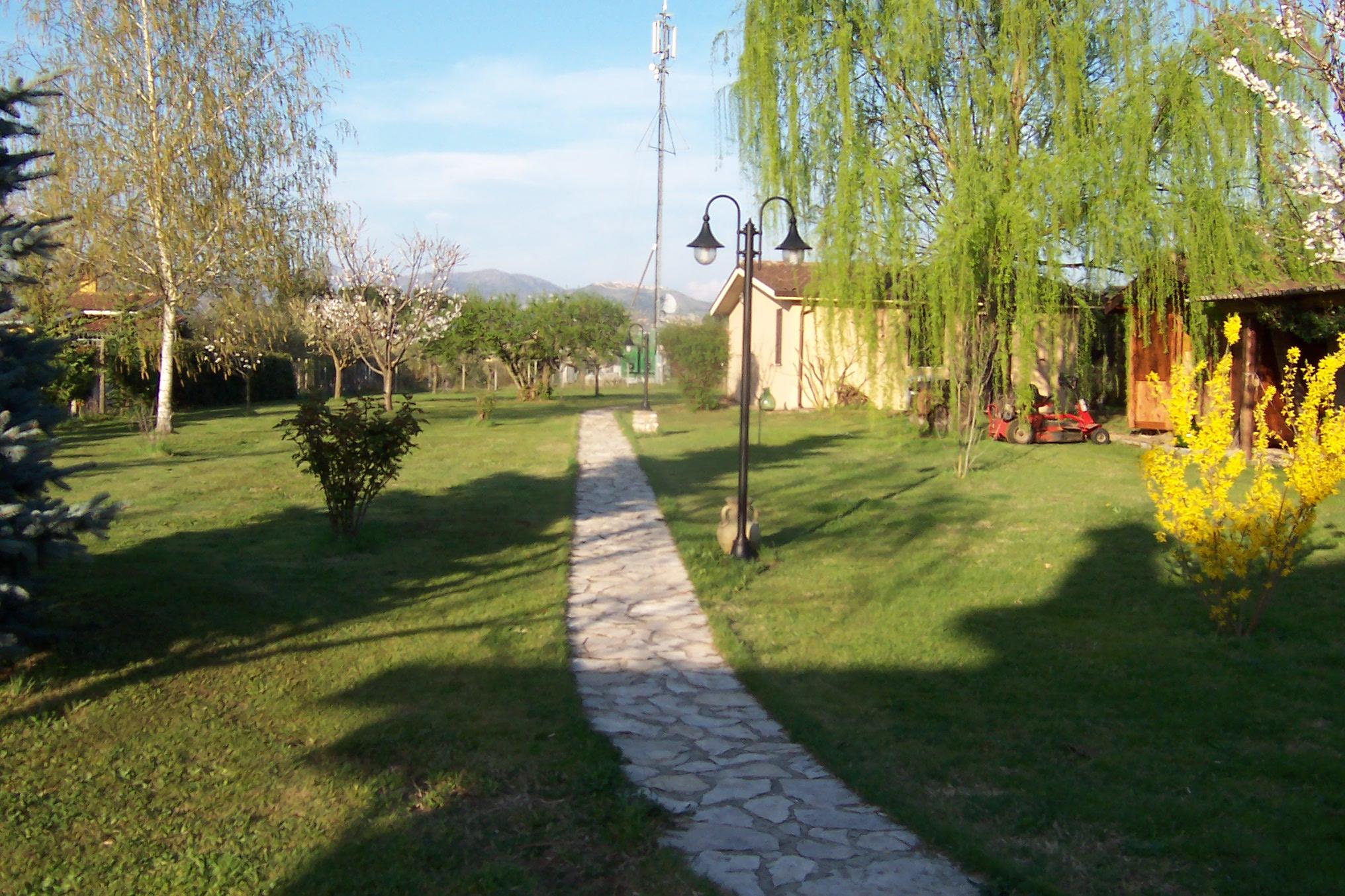 immagine annuncio 2 di 4