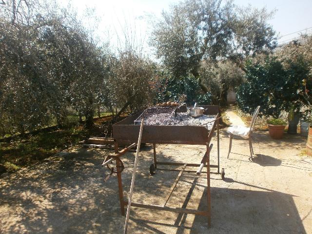 immagine annuncio 6 di 7