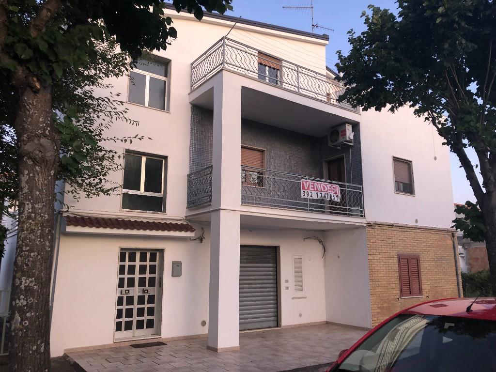 immagine annuncio 1 di 7