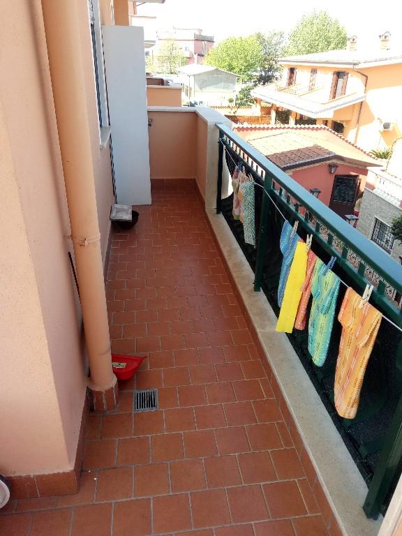 immagine annuncio 5 di 7