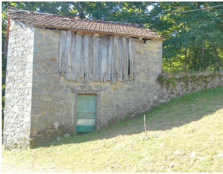 immagine annuncio 4 di 7