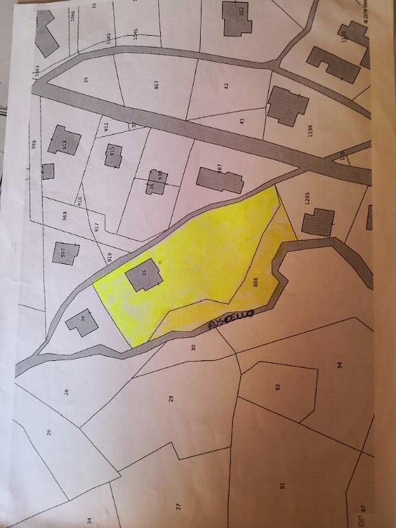 immagine annuncio 4 di 7