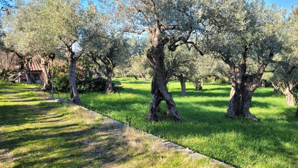 immagine annuncio 6 di 7