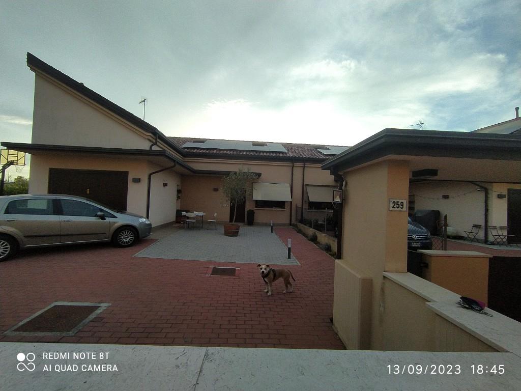 immagine annuncio 2 di 7