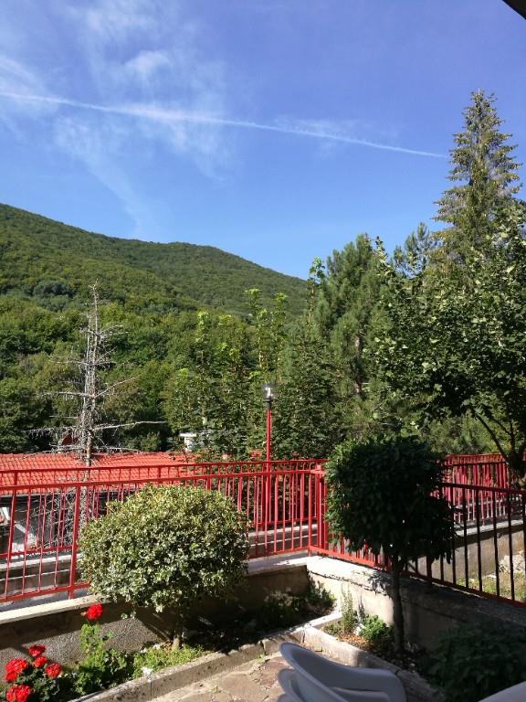 immagine annuncio 4 di 7