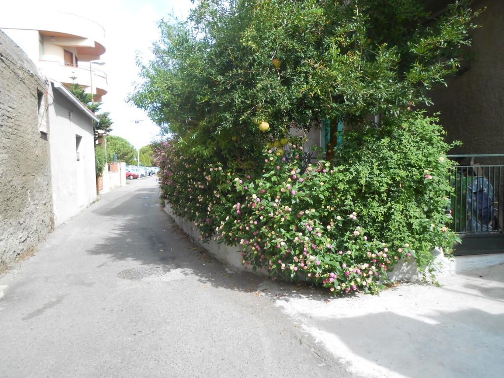 immagine annuncio 4 di 7