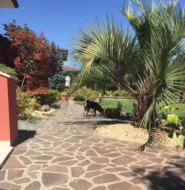 immagine annuncio 2 di 7